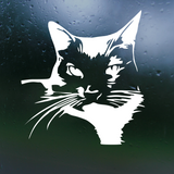 Die Cut Vinyl Tuxedo Cat Decal - Car Decal, Truck Decal, Laptop Decal