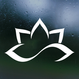 Die Cut Vinyl Line Art Lotus Decal - Car Decal, Truck Decal, Laptop Decal