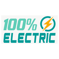 Die Cut Vinyl Custom Electric Car Decal - 2025 Design