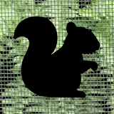 Pack Of Oracal 751 Vinyl Retractable Screen Door / Window Screen Decals - Squirrel