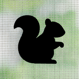 Pack Of Oracal 751 Vinyl Retractable Screen Door / Window Screen Decals - Squirrel