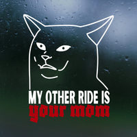 Die Cut Vinyl Funny / Raunchy Decal "My Other Ride Is Your Mom" Vehicle / Window / Decal