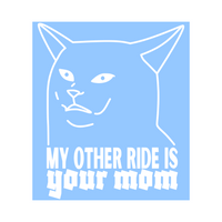 Die Cut Vinyl Funny / Raunchy Decal "My Other Ride Is Your Mom" Vehicle / Window / Decal