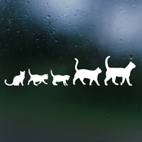 cat decal, cat decals, cat sticker, cat sticker decal, vinyl cat decal, cute cat decal, cute cat stickers, cat sticker decal, decals, vinyl stickers, decal shop, get decaled