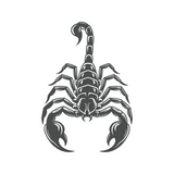 Die Cut Vinyl Scorpion Decal