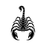 Die Cut Vinyl Scorpion Decal