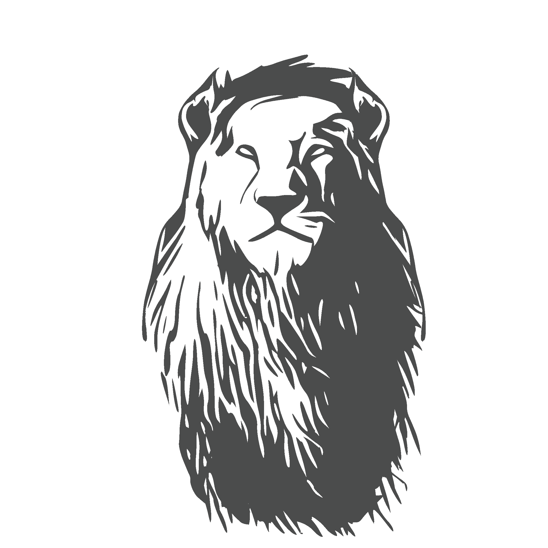 washer decal, dryer decal, appliance decals, decal sticker, get decaled, wash decal, dry decal, sticker decals