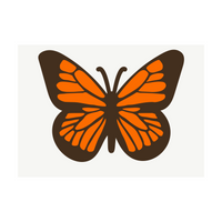 butterfly, butterfly decal, butterfly sticker, butterfly, decal, sticker, car butterfly decal, monarch butterfly decal, get decaled, decal shop