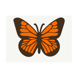 butterfly, butterfly decal, butterfly sticker, butterfly, decal, sticker, car butterfly decal, monarch butterfly decal, get decaled, decal shop