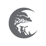 Die Cut Vinyl Moon With Stargazing Witch Decal