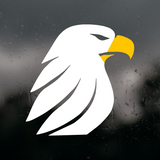 Die Cut Vinyl Eagle Bust Decal