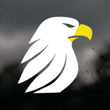 Die Cut Vinyl Eagle Bust Decal