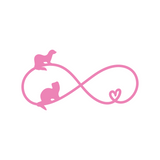 Ferret Lover Infinity Heart Decal for Cars, Glass, Laptops, Mirrors & More - Get Decaled