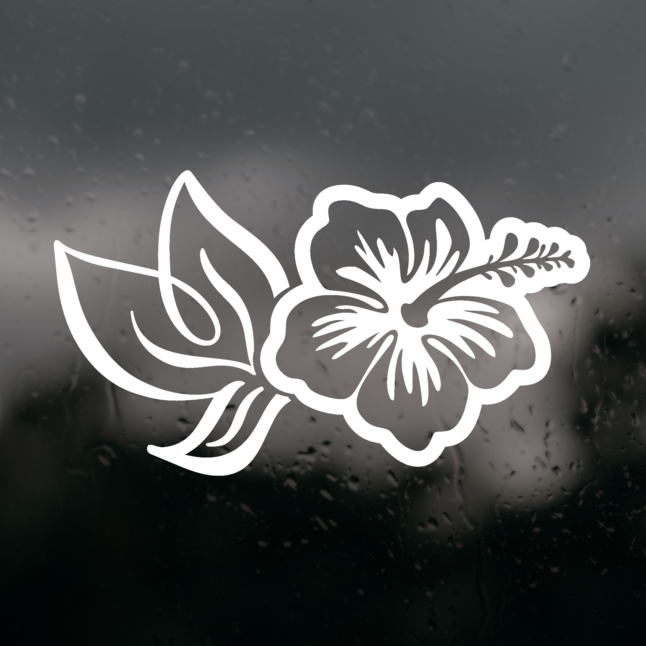 washer decal, dryer decal, appliance decals, decal sticker, get decaled, wash decal, dry decal, sticker decals