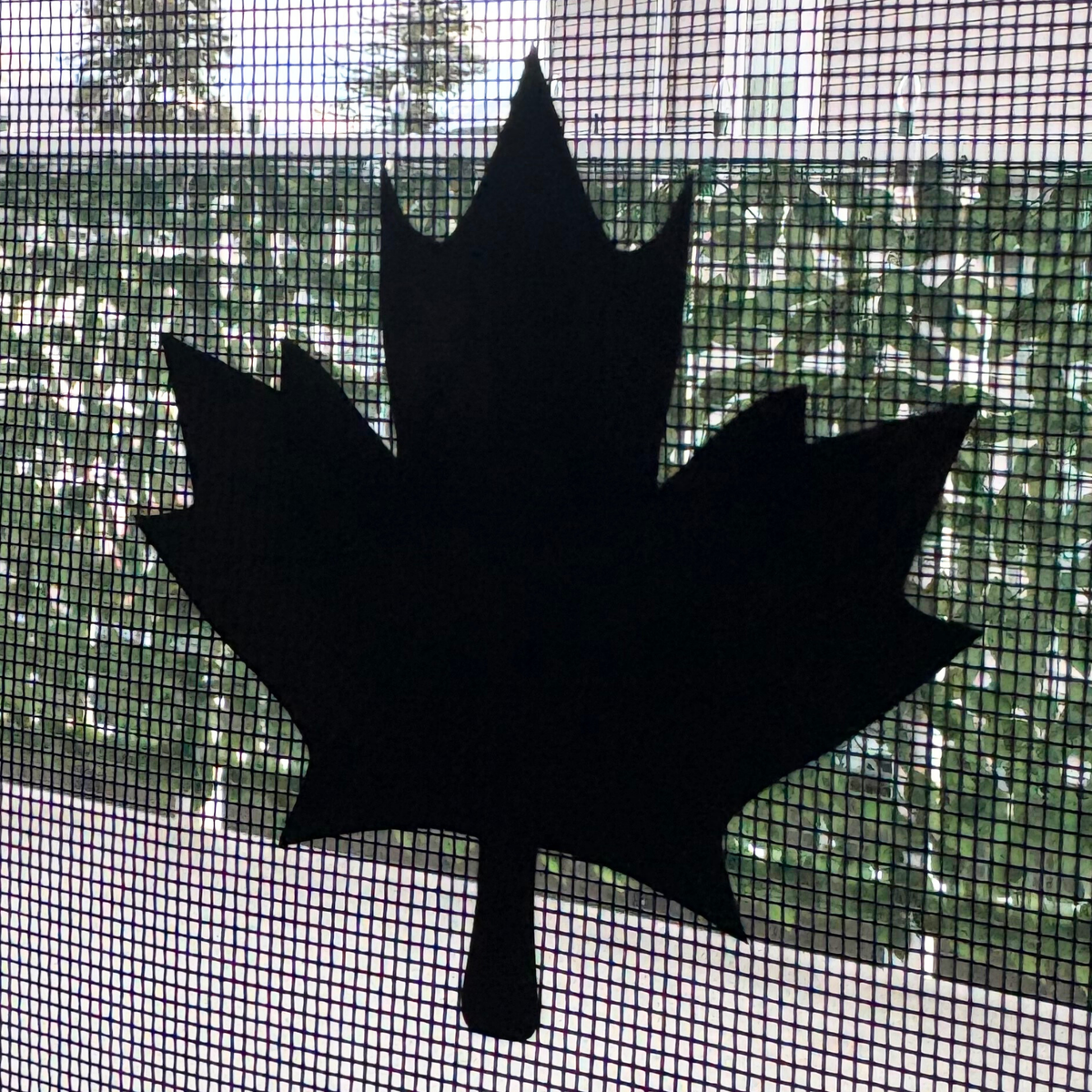 Maple Leaf Retractable Screen Door / Window Screen Decal Pack- Oracal ...