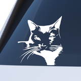 Die Cut Vinyl Tuxedo Cat Decal - Car Decal, Truck Decal, Laptop Decal - Get Decaled