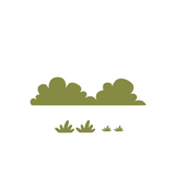 Die Cut Vinyl Decal Pack - Customizable Safari Themed Nursery Decor