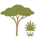 Die Cut Vinyl Decal Pack - Customizable Safari Themed Nursery Decor