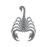 Die Cut Vinyl Scorpion Decal