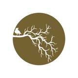 Die Cut Vinyl Crow In The Moon Decal