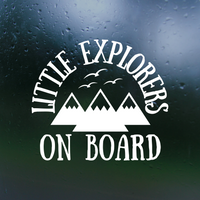 baby on board decal, baby on board decals, little explorers on board, decals, vinyl decals, cat decals, truck decals