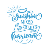 car decals, truck decals, laptop decals, cute decals, girl car decals, decal shop, sunshine mixed with hurricane decal