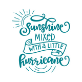 car decals, truck decals, laptop decals, cute decals, girl car decals, decal shop, sunshine mixed with hurricane decal